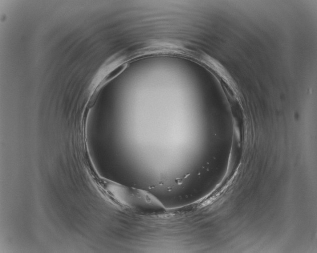 X0000067351242200604030926