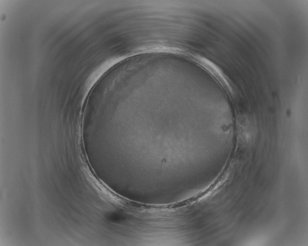 X0000067351244200604030926