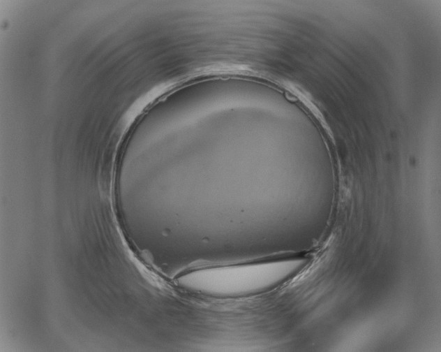 X0000067351245200604030926