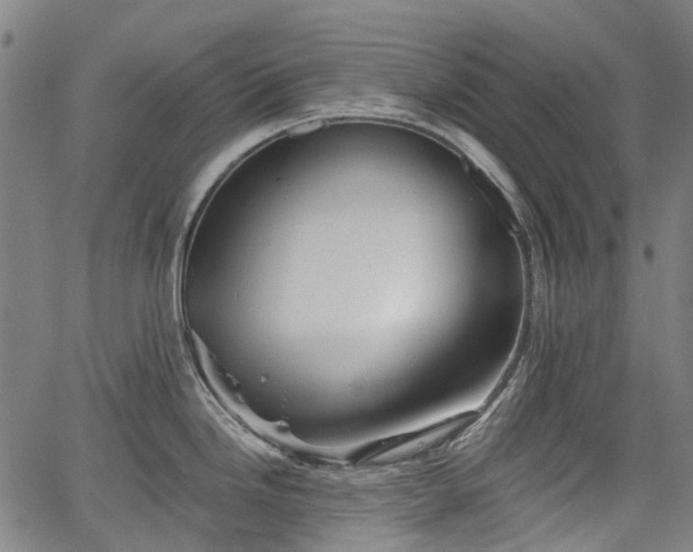 X0000067351246200604030926