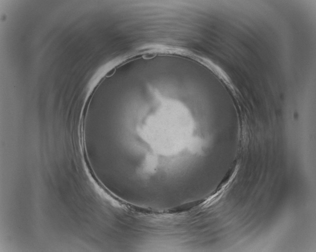 X0000067351247200604030926