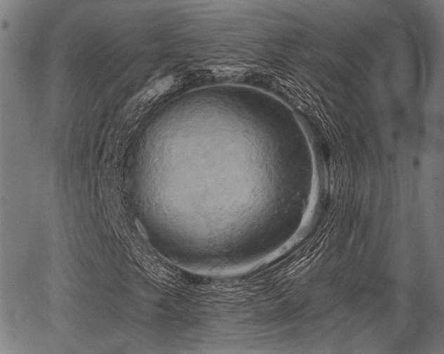 X0000067351249200604030925