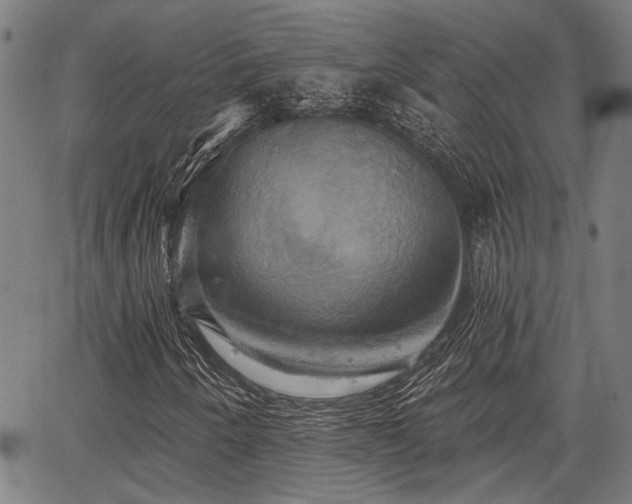 X0000067351250200604030925