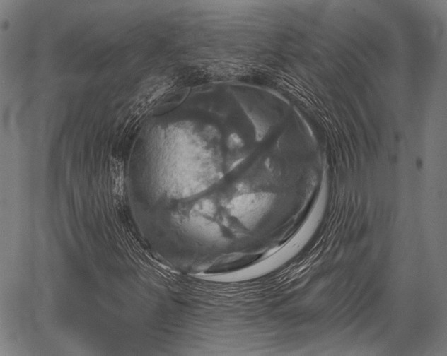 X0000067351251200604030925