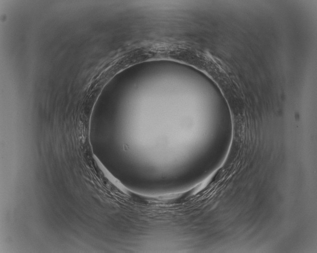 X0000067351253200604030925