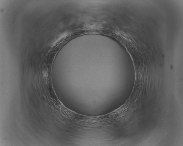 X0000067351254200604030925