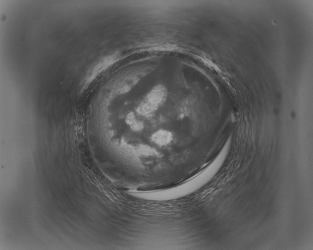 X0000067351255200604030925