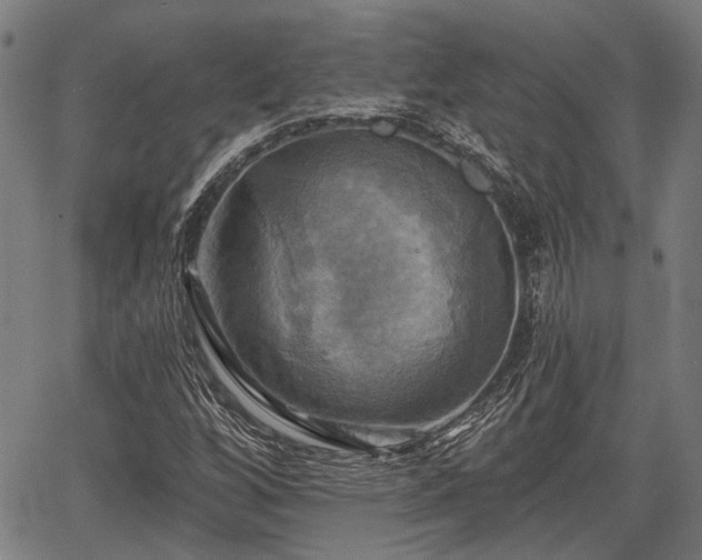 X0000067351256200604030925