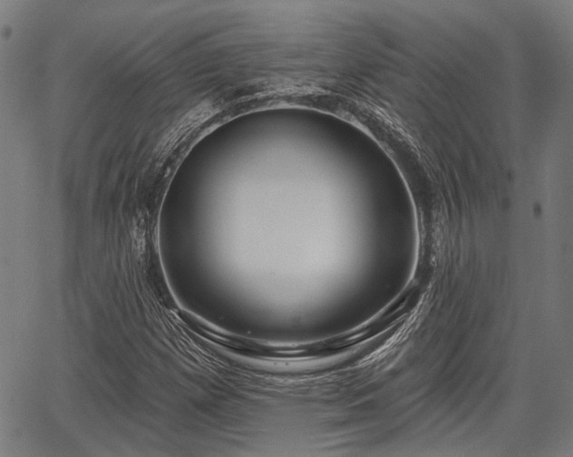 X0000067351257200604030925