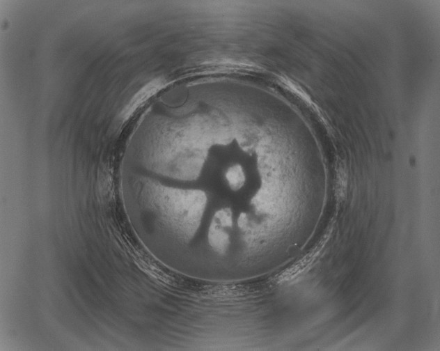 X0000067351259200604030925