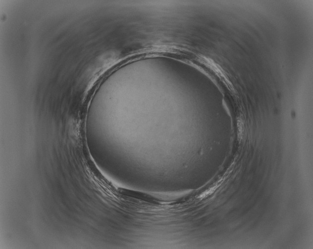 X0000067351260200604030925