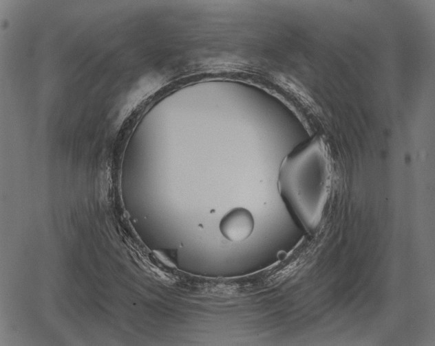 X0000067351261200604030925