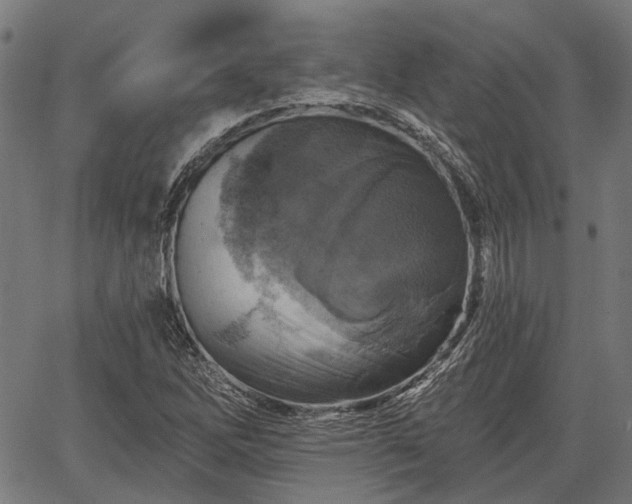 X0000067351262200604030925