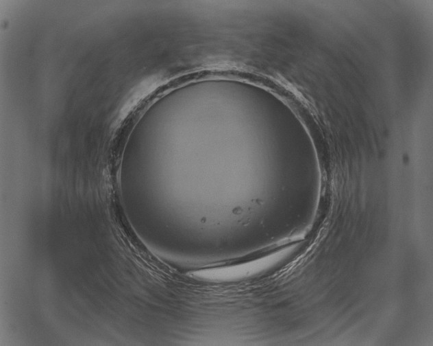 X0000067351263200604030925