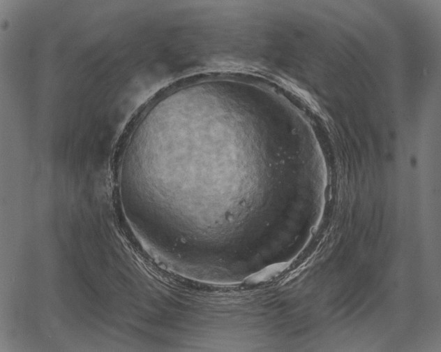 X0000067351264200604030925