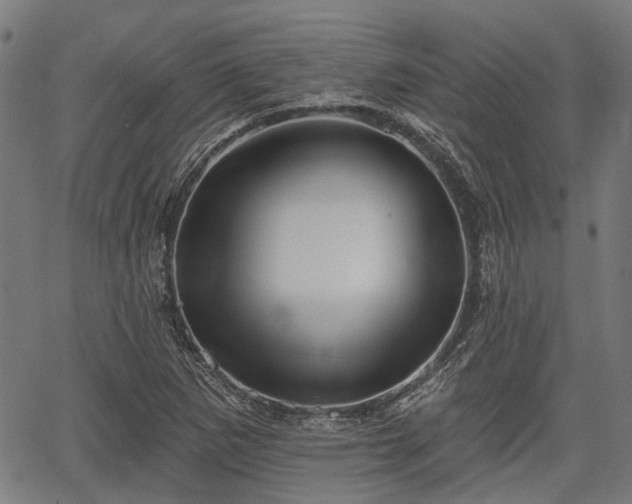 X0000067351265200604030925