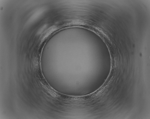 X0000067351266200604030925