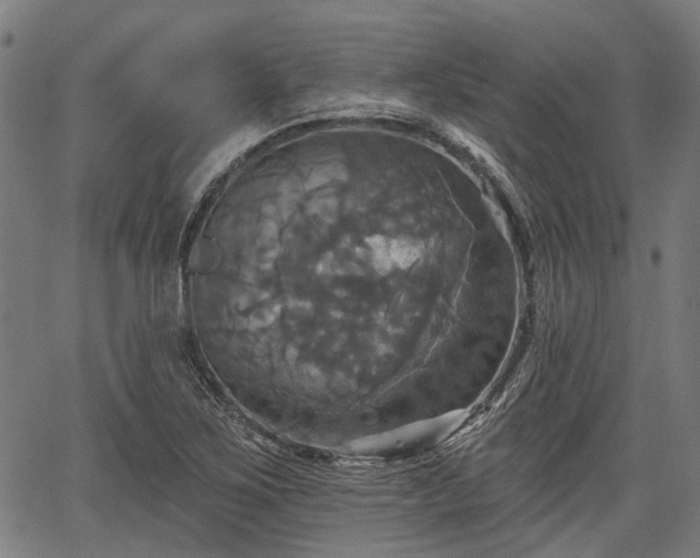 X0000067351267200604030925