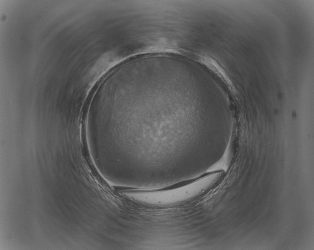 X0000067351268200604030925