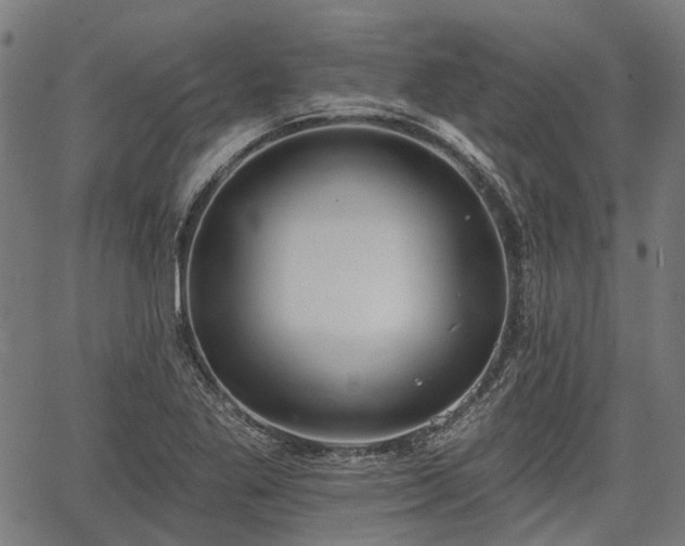 X0000067351269200604030925