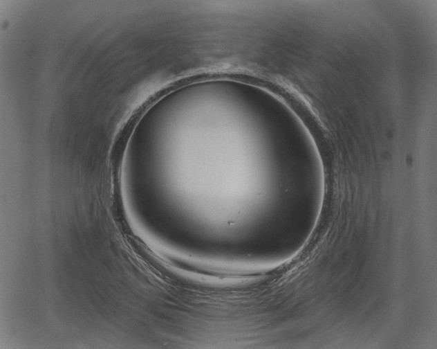 X0000067351270200604030925