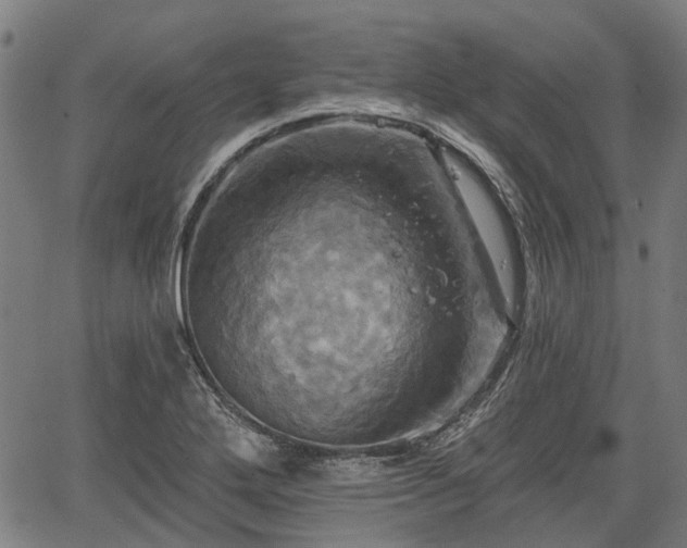 X0000067351272200604030925