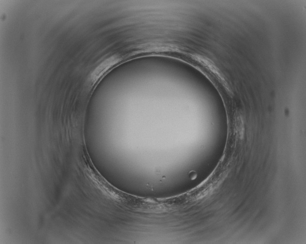 X0000067351273200604030925