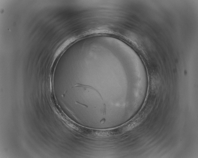 X0000067351274200604030925