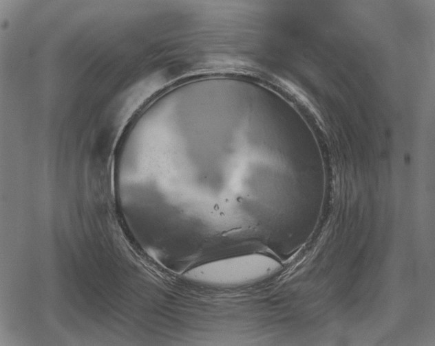 X0000067351275200604030925