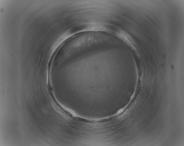 X0000067351276200604030925