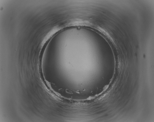 X0000067351277200604030925