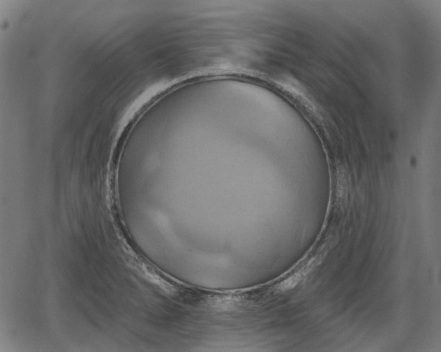 X0000067351278200604030925