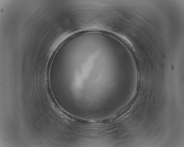 X0000067351279200604030925