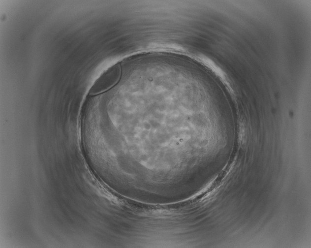 X0000067351280200604030925