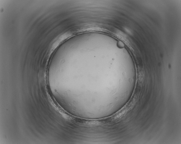 X0000067351282200604030925