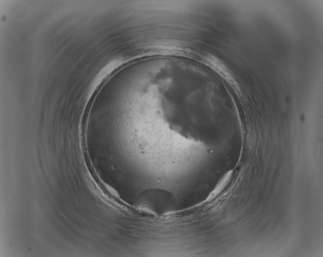 X0000067351283200604030925