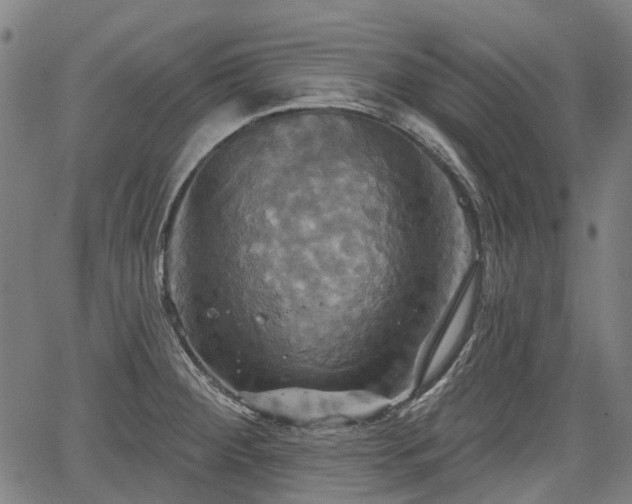 X0000067351284200604030925