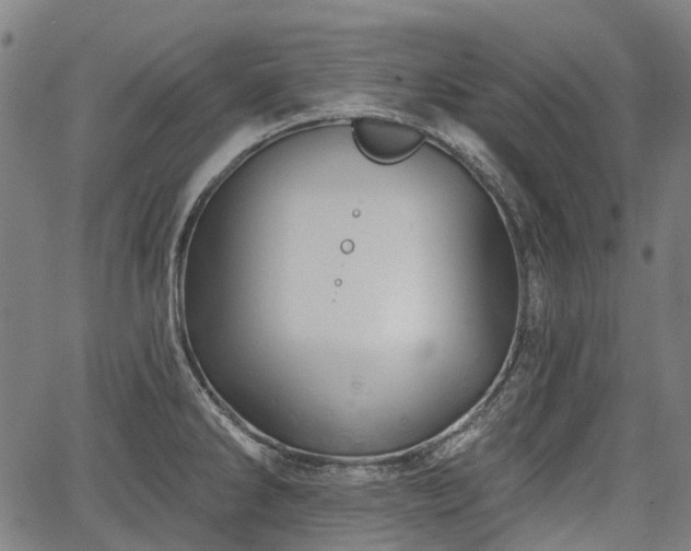 X0000067351286200604030925