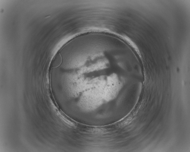 X0000067351287200604030925