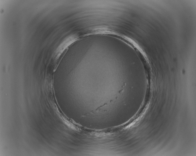 X0000067351289200604030925