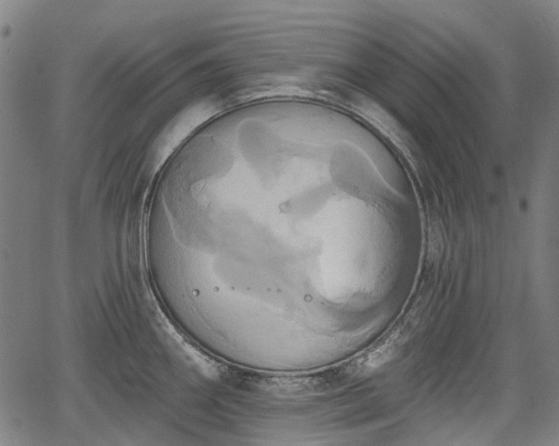 X0000067351290200604030925