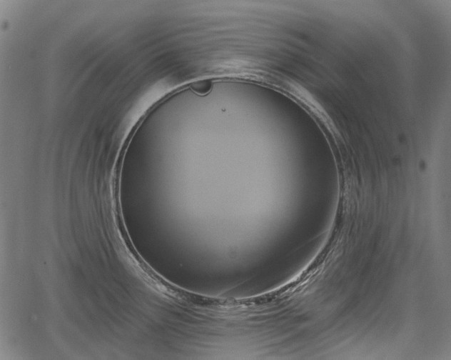 X0000067351291200604030925