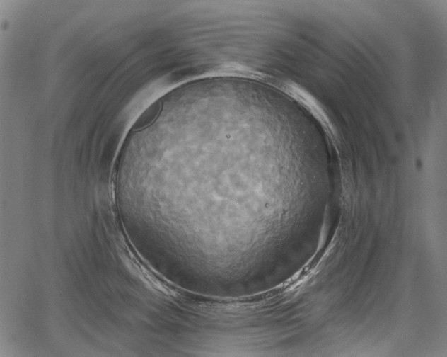 X0000067351292200604030925