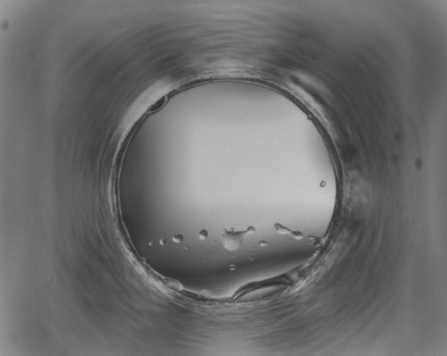 X0000067351293200604030925