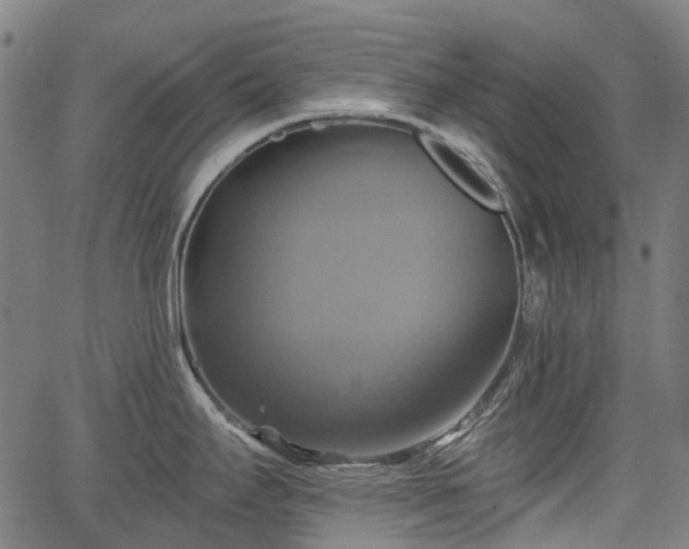 X0000067351295200604030924