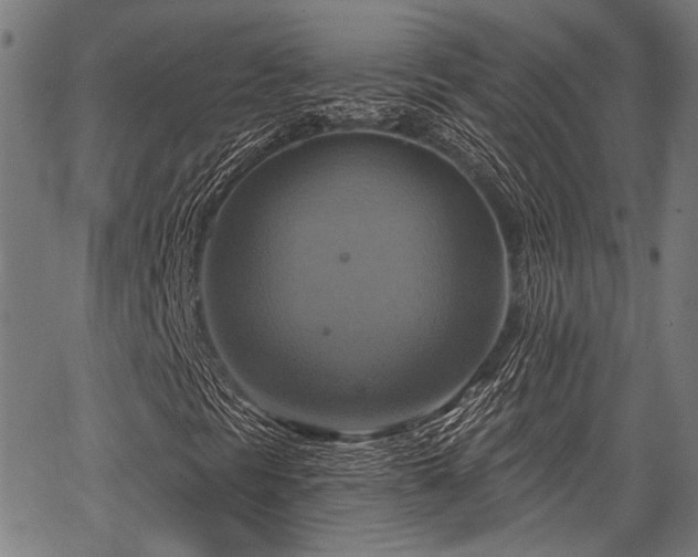 X0000067351297200604030924