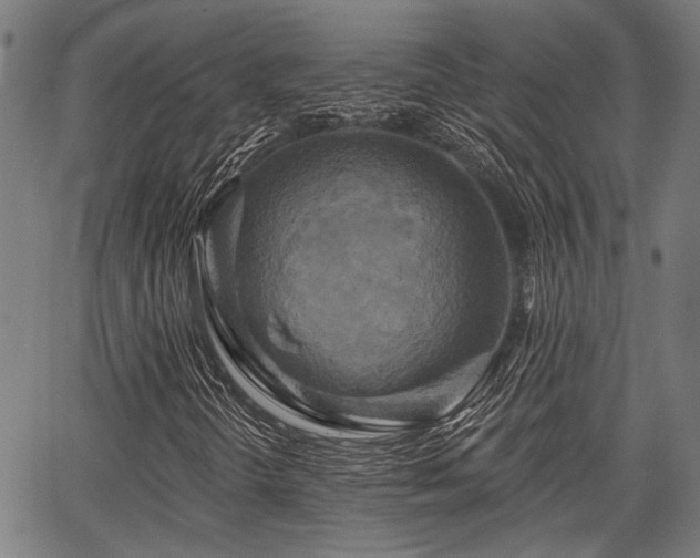 X0000067351298200604030924