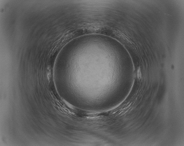 X0000067351299200604030924