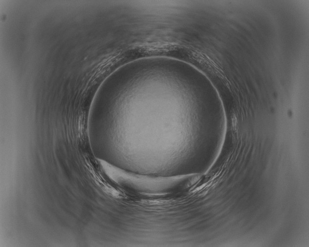 X0000067351300200604030924