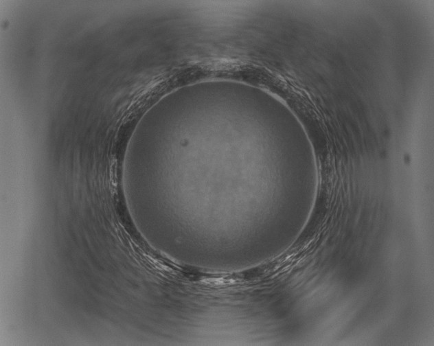 X0000067351301200604030924